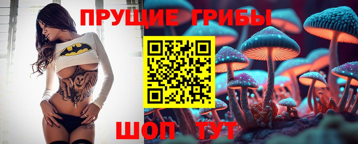 Псилоцибиновые грибы MAGIC MUSHROOMS  Вход с VPN  Нововоронеж 